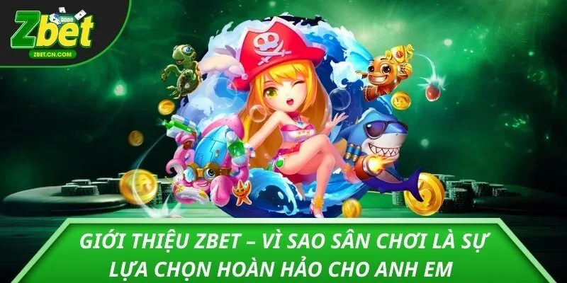 Tổng quan về giới thiệu ZBET là gì?