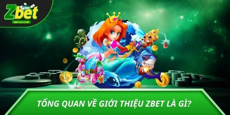 Giới thiệu ZBET – Khám phá các dịch vụ nổi bật tại